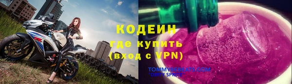 мдпв Верхний Тагил