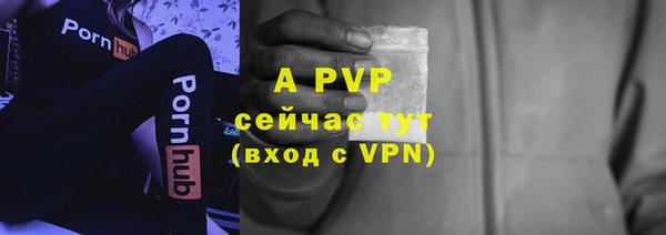 твердый Снежногорск