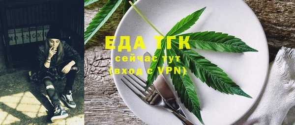 мдпв Верхний Тагил