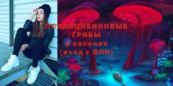 прущие грибы Слюдянка