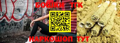 индика Заводоуковск