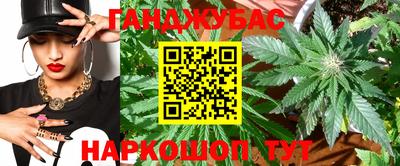 индика Заводоуковск