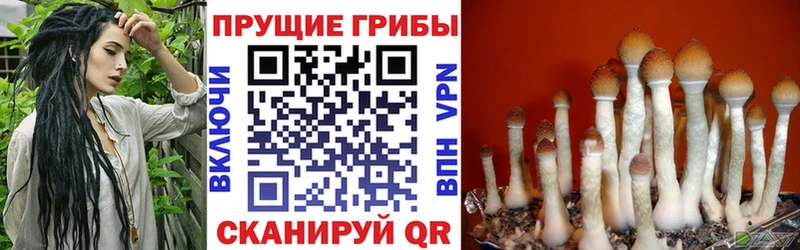 Псилоцибиновые грибы мицелий  Назарово 